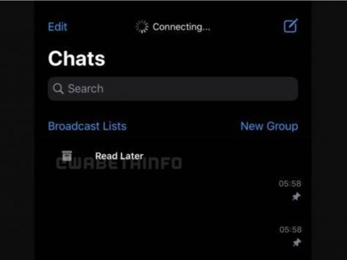 Cara Membuat Read More Whatsapp