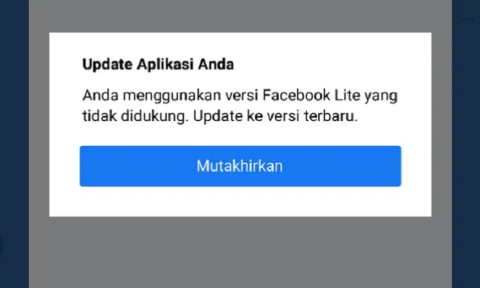 Fb Lite Tidak Bisa Dibuka