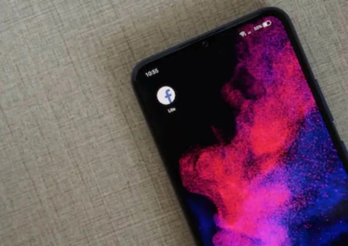 Kenapa Facebook Lite Tidak Bisa Dibuka Padahal Kuota Masih Ada