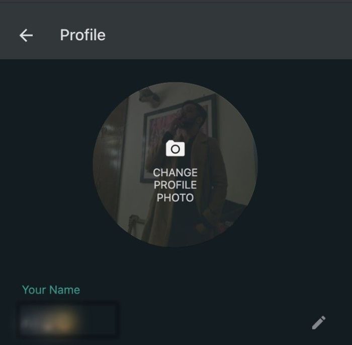 Cara Menghapus Foto Profil Wa