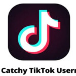 Nama Yang Cocok Untuk Akun Tiktok