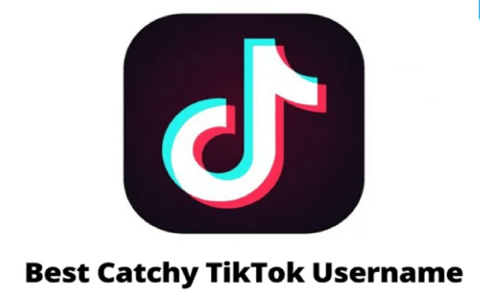 Nama Yang Cocok Untuk Akun Tiktok