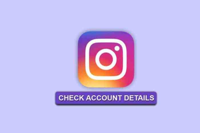 Cara Cek Nama Akun Ig Sebelumnya