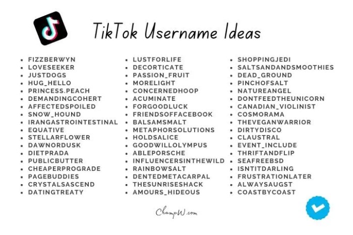 Usernames tiktok username baddie captions bios matching couples witty tik tok discord vercel nickname px volzan tiktok1 kaynak