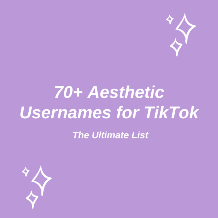 Nama Nama Tik Tok Aesthetic