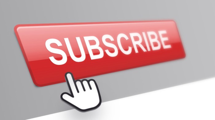 Cara Menghilangkan Subscriber Di Youtube