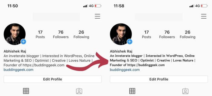 Cara Tulisan Miring Di Bio Ig
