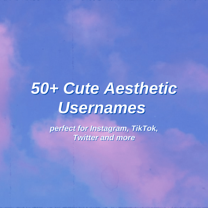 Nama Aesthetic Untuk Sorotan Instagram