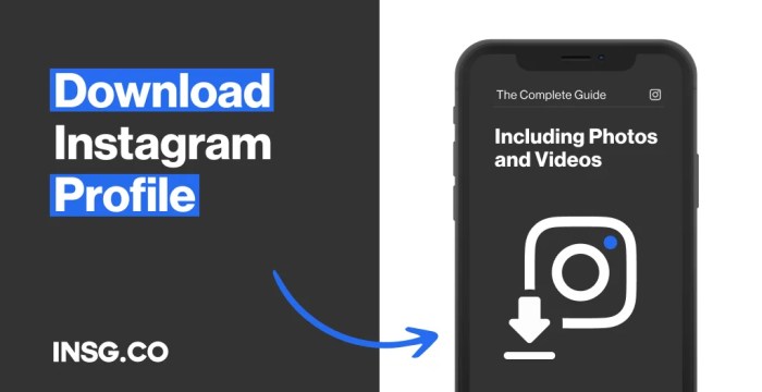 Cara Download Profil Ig Orang Lain Tanpa Aplikasi