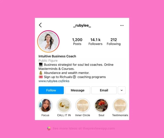 Cara Tulisan Miring Di Bio Ig