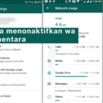 Cara Mematikan Wa Sementara Di Vivo