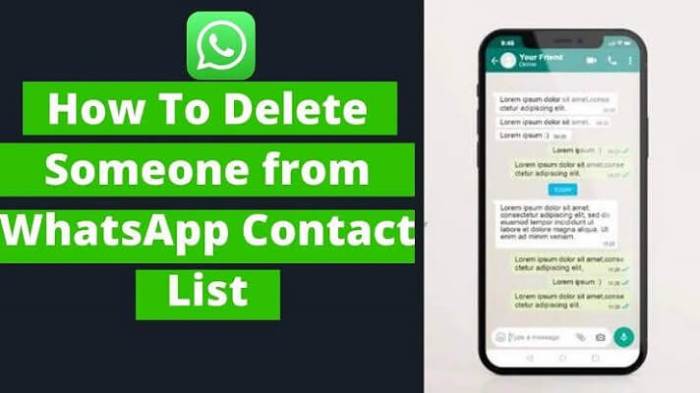 Whatsapp delete contact