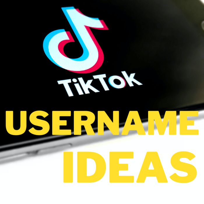 Saran Nama Tiktok Yang Bagus